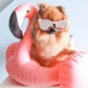 Clothes, jewelry, shoes, decor